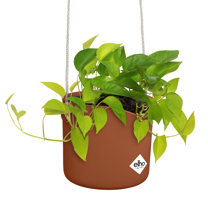 b.for swing 18cm brique